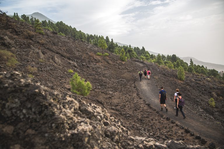 El Cabildo reabre la Red Insular de Senderos con las limitaciones establecidas por Sanidad