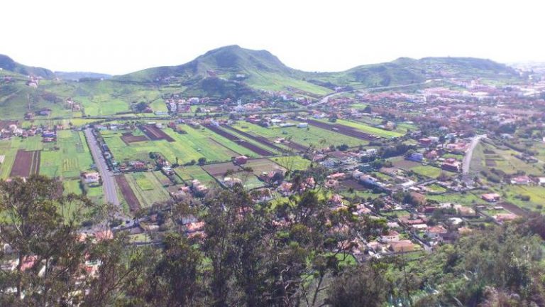 La Laguna solicita al Gobierno poder sancionar las infracciones en suelo rústico para reforzar su protección