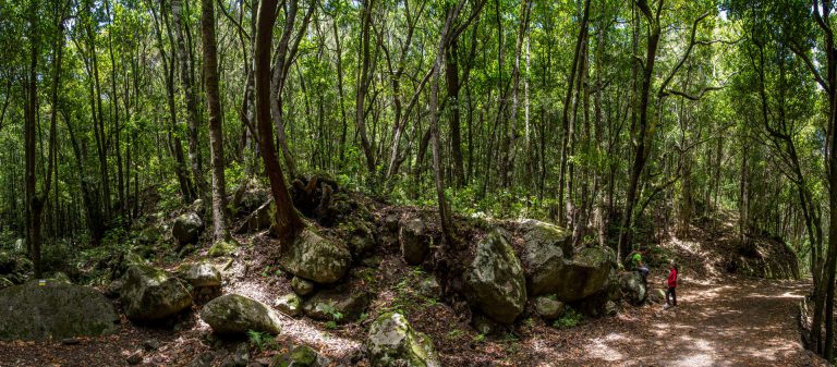 El Cabildo incluye en su plan de choque la mejora y mantenimiento de los cortafuegos de Teno