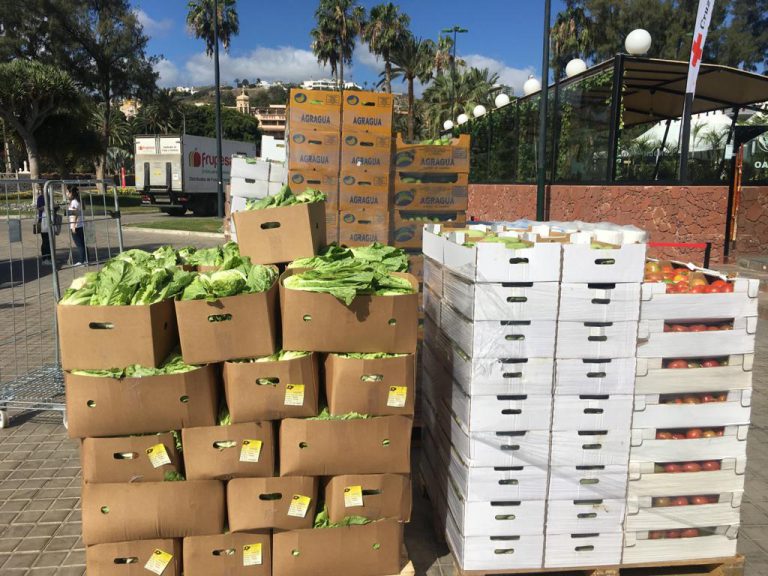 El Cabildo entrega los primeros 24.000 kilos de alimentos del sector primario a cinco ONG destinados a 7.400 personas