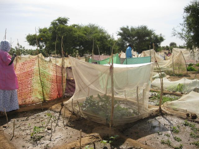 El Cabildo abona 2,6 millones a medio centenar de ONG para la ejecución de 65 proyectos de cooperación internacional 15 cabildo de gc proyecto educanepal