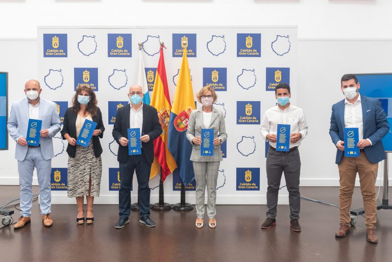 El Mercado, el Palmeral del Oasis y cámaras para 30 km de playas, entre las obras del Cabildo en San Bartolomé de Tirajana