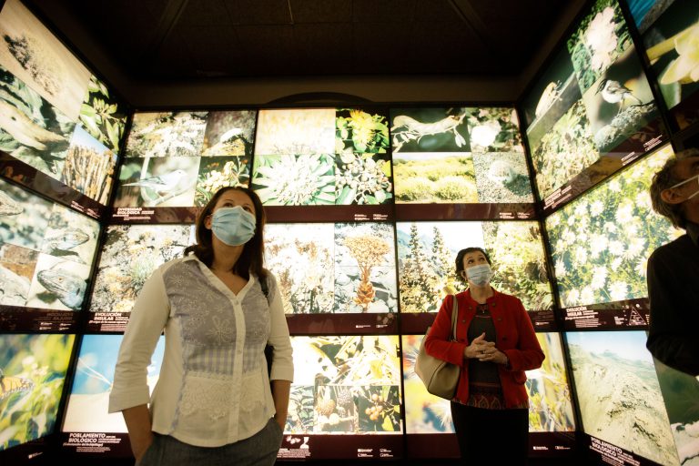 El Cabildo reabre varios de sus museos con nuevo horario y protocolo de seguridad