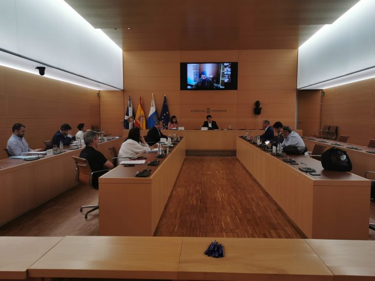 Martín presenta a los ayuntamientos de Tenerife el plan de choque para sus aportaciones