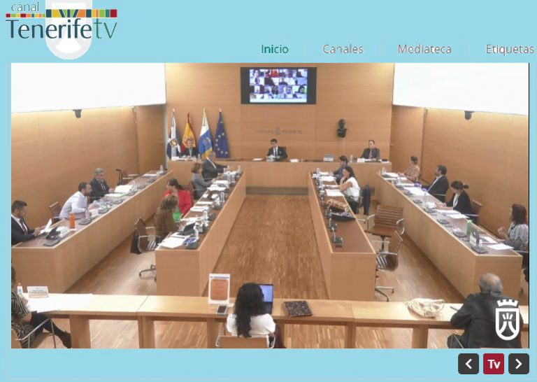 Un total de 4.600 autónomos y micropymes ya han solicitado las primeras ayudas del Cabildo