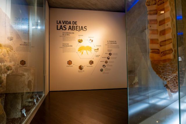 El Cabildo reabre la Casa del Vino y sus museos y mantiene cerrados el restaurante y la tasca 4 casa del vino2