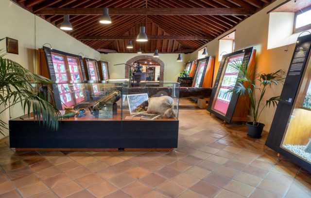 El Cabildo reabre la Casa del Vino y sus museos y mantiene cerrados el restaurante y la tasca 3 casa del vino3