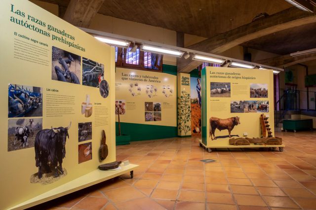 El Cabildo reabre la Casa del Vino y sus museos y mantiene cerrados el restaurante y la tasca 2 casa del vino4