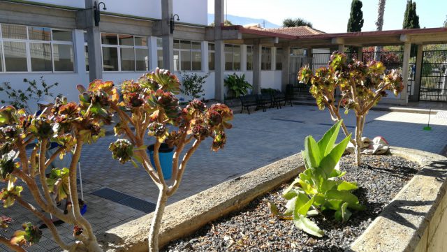 centro ocupacional taburiente 2