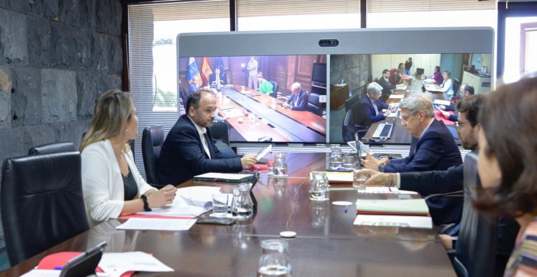 La Consejería de Sanidad y la Secretaría de Estado de Digitalización colaboran en la autoevaluación y el triaje del coronavirus