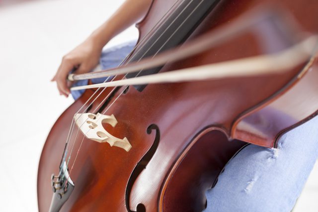 fotos instrumento CIEM Lanzarote reducida