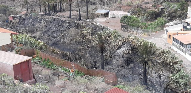 El Cabildo aprueba 600.000 euros para los afectados del incendio de Tasarte 3 incendio tasarte1