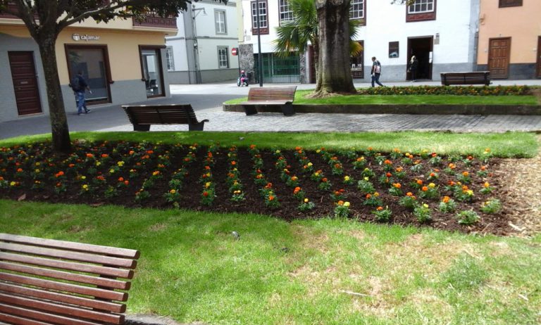 El Ayuntamiento renueva la decoración floral en el municipio con más de 8.500 ejemplares