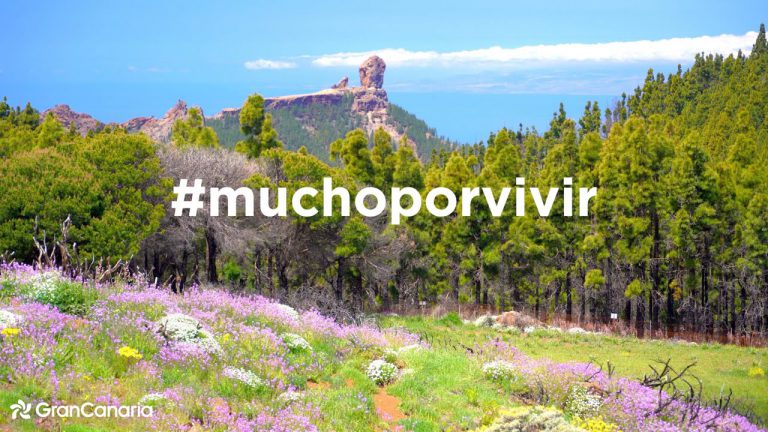 Turismo de Gran Canaria amplía el banco de imágenes con recursos únicos que muestran su naturaleza al desnudo