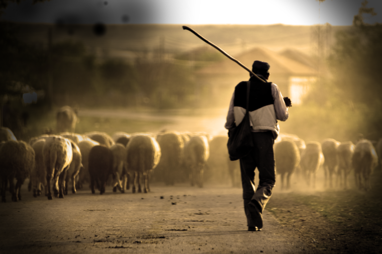 Los pastores ponen su experiencia de soledad a disposición de los que necesiten ser escuchados