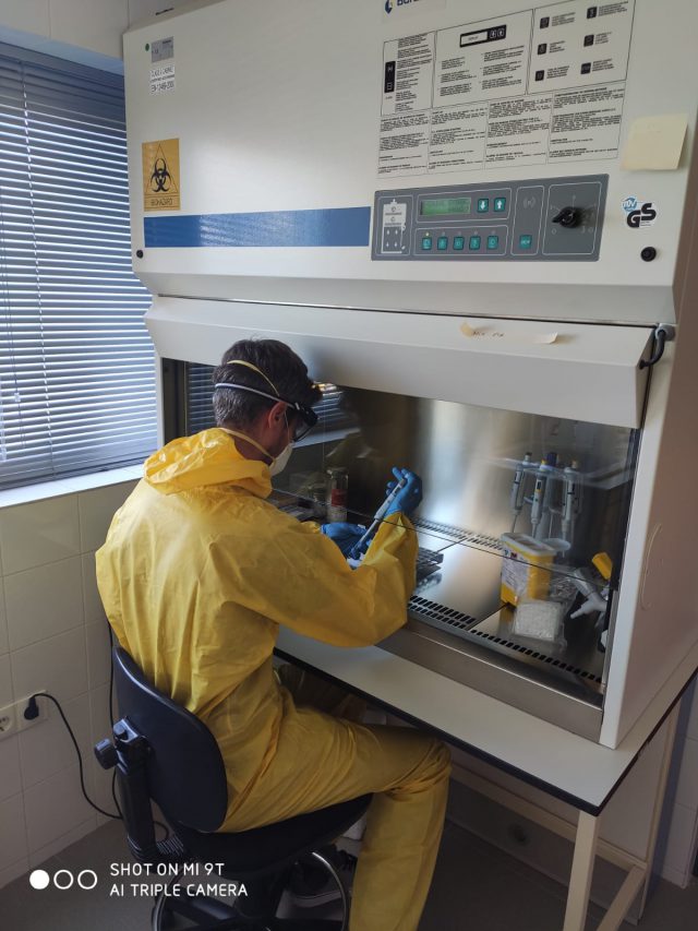 El Ministerio de Ciencia e Innovación acredita al IUSA-ULPGC para realizar pruebas PCR para detectar el covid-19 1 pruebas pcr ulpgc