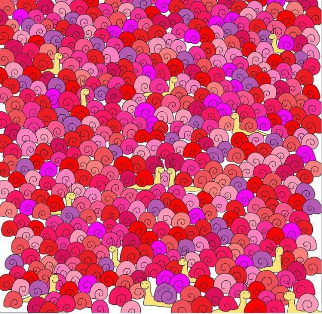 reto corazxn caracoles.jpg 1972885328