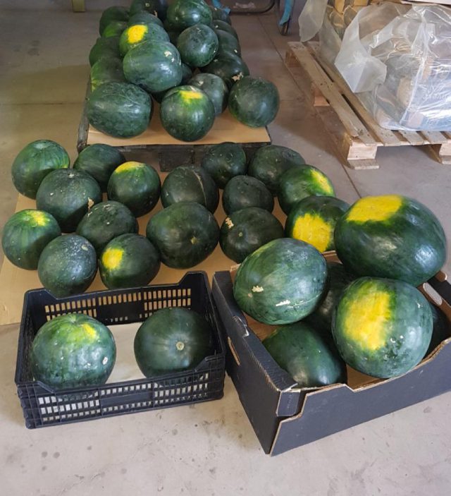 san nicolas banco de alimentos 2