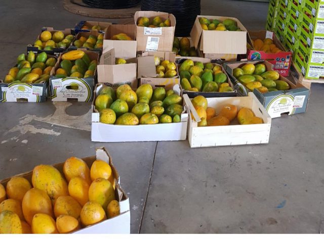 san nicolas banco de alimentos