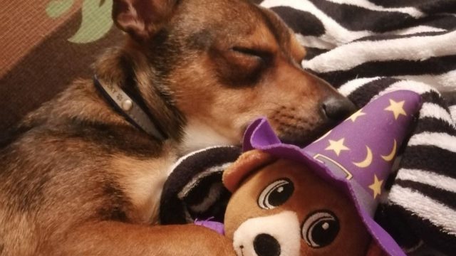 068BF7D9 7A43 4DCA 8E53 85237D4DD00C