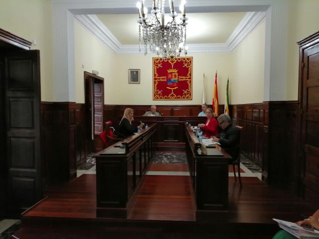 11 pleno 11 05 2020 1