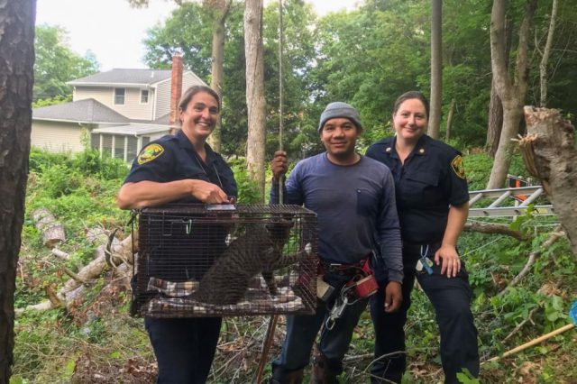 1B5FEC4C FA97 4738 924A 1226B5A4AD35