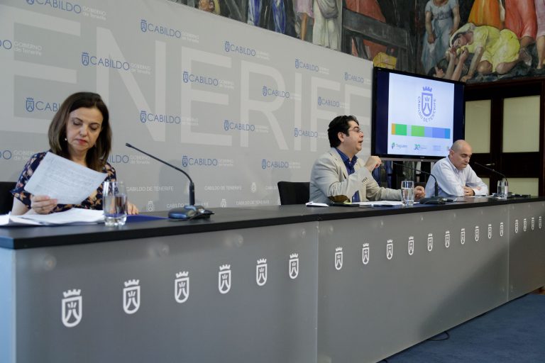 El Cabildo ha instalado 6.000 puntos de control de la termita y revisado más de 240 viviendas