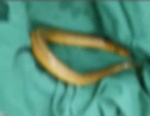 28850824 26D0 4C6E A842 79AE446E51FD