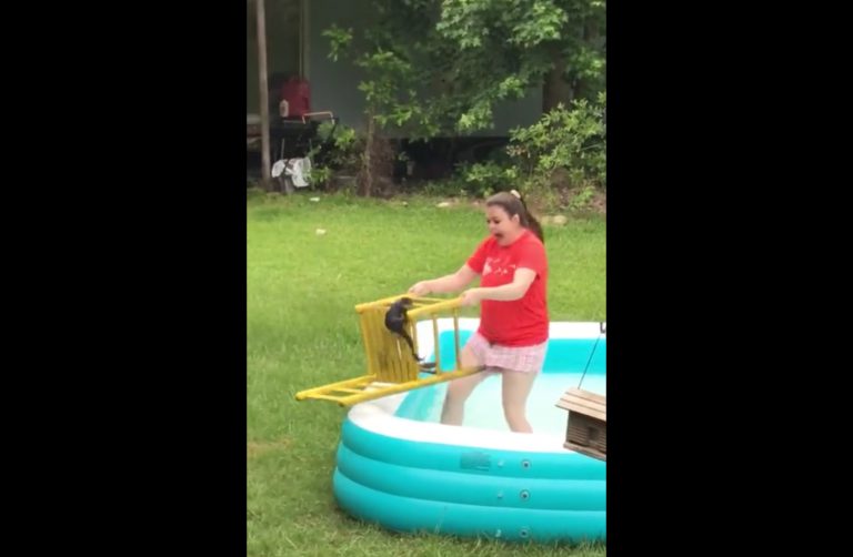 El desastroso intento de una joven por ayudar a una ardilla que nadaba en su piscina