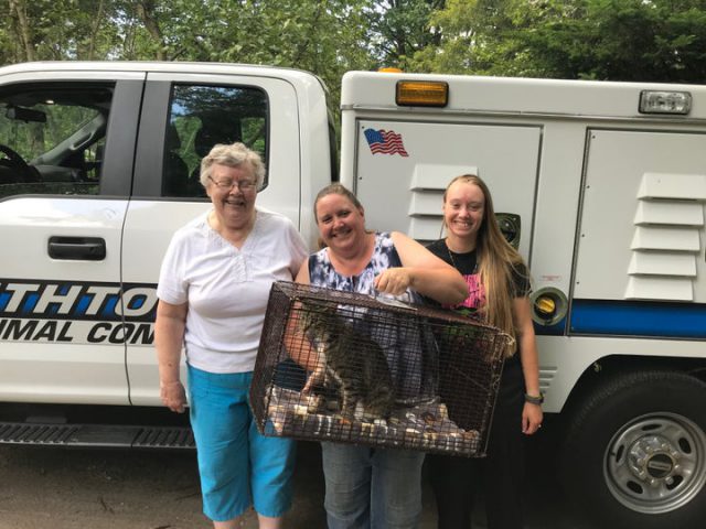 33B72265 C0EE 4CD2 8511 DF02D15DACDB