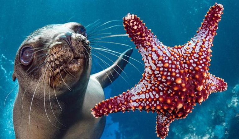 Más de 3.000 millones de personas dependen de los océanos para sobrevivir