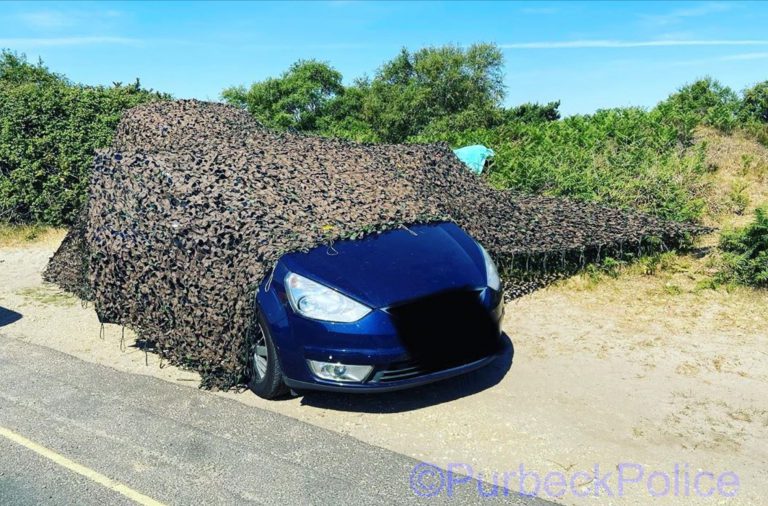 Camufla su coche para hacer a una barbacoa en un área protegida
