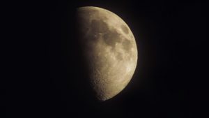 67D07E4C 9033 42A4 A6FC 3446B137C847