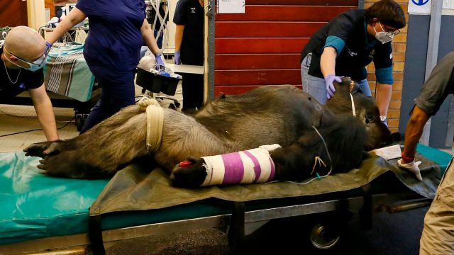 6E0D8AED EF7B 4078 B9CC DDEC5C68CF98