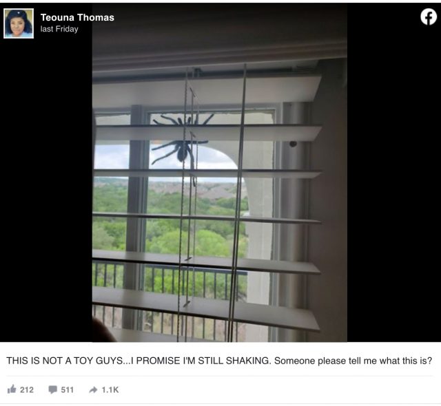 758FEB9C 9271 4ADC B286 C91CC4996710