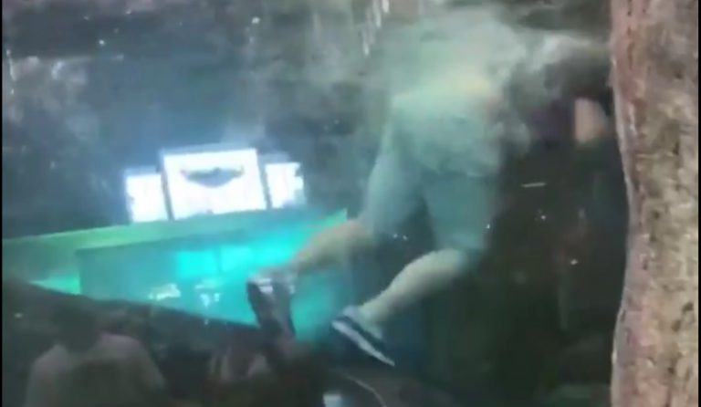 Un hombre arrestado tras bañarse en el interior del acuario de una tienda