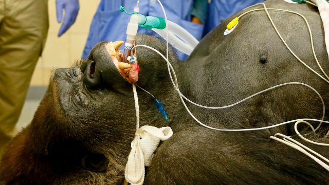 9823A505 9DCF 4B22 ADF5 0A2B14C8FCE5