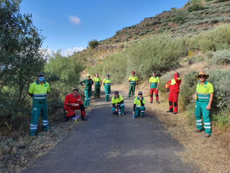 Parques y Jardines mejora el acceso a Lereta para vehículos de emergencias y prevención de incendios