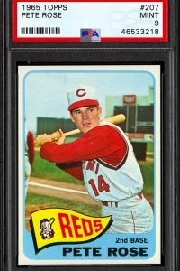 E8BCB755 2C41 4928 B34B 4F9A11BB7BD8