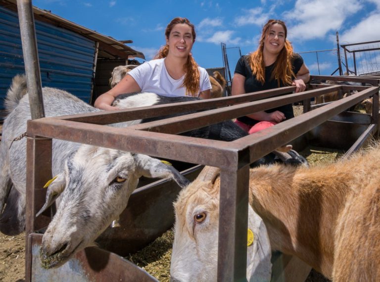 Las gemelas Beatriz y Natalia Mayor ganan el premio al Mejor Queso Curado de Gran Canaria en el concurso oficial del Cabildo