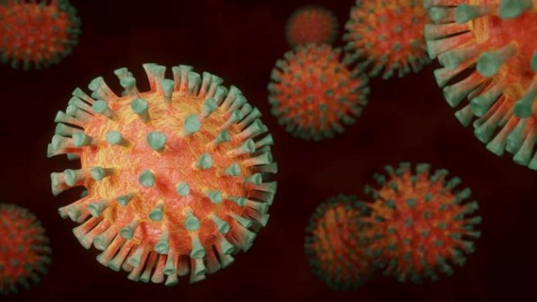 Utilizan un tipo de 'parásitos del coronavirus' para combatirlo