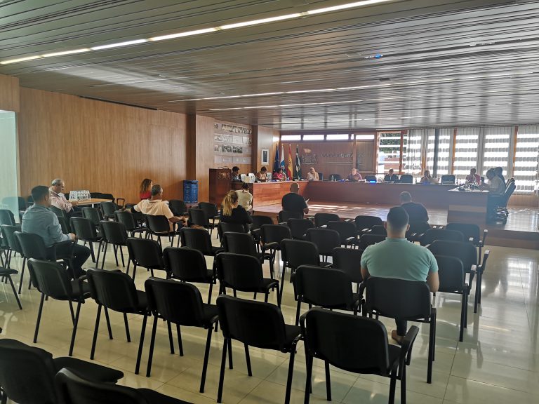 El pleno eleva a Declaración Institucional puntos sobre taxis, la unidad móvil del INSS y el Día del Orgullo LGTBI