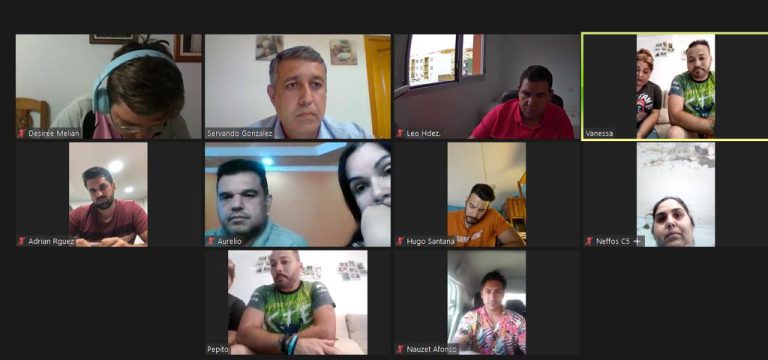 Festejos mantiene un encuentro virtual con los profesionales del sector para analizar posibles alternativas para que retomen su actividad