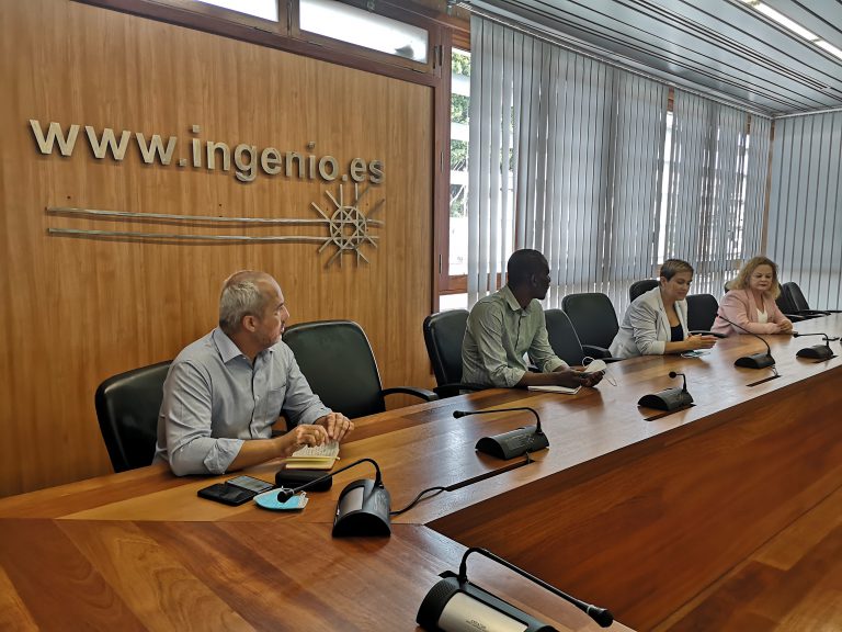La alcaldesa expone a diputados y senadores canarios la situación actual del municipio para buscar soluciones