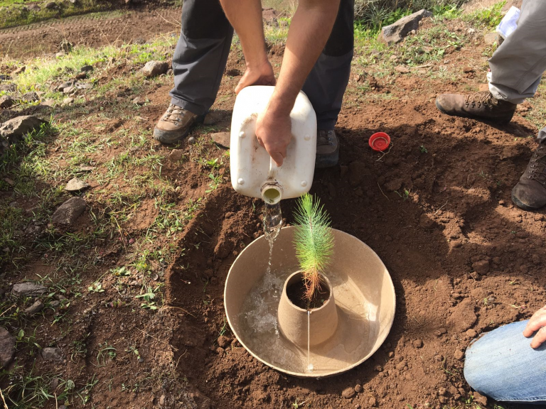 Asunto: El 90 % del suelo de Gran Canaria tiene riesgo alto y muy alto de desertificación, un problema muy grave que afecta globalmente