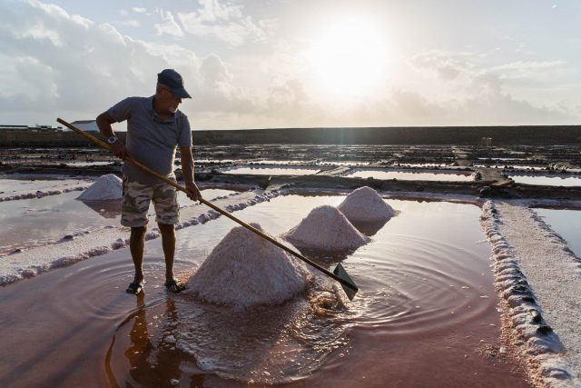 extracción sal tenefé