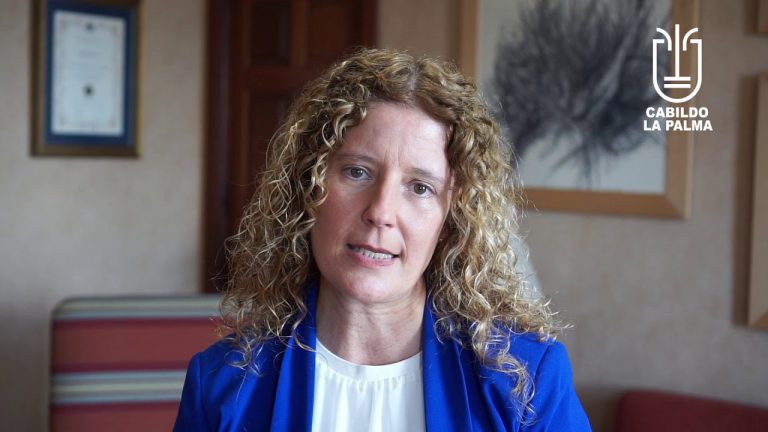 El Cabildo abre el lunes el plazo para que empresarios y autónomos soliciten ayudas para financiar los gastos generados en la crisis de la COVID-19