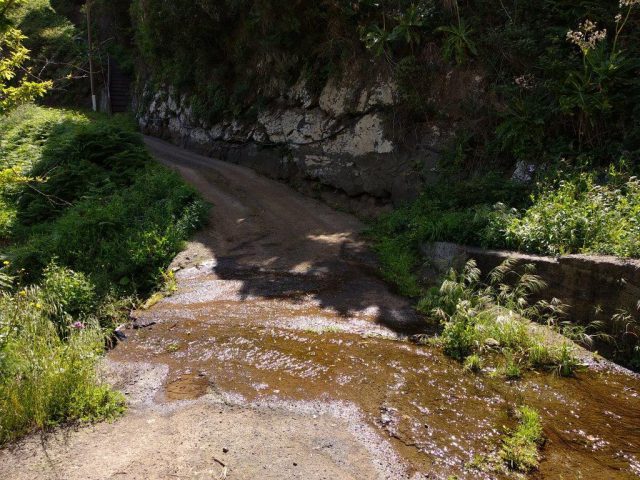 medio natural tenerife