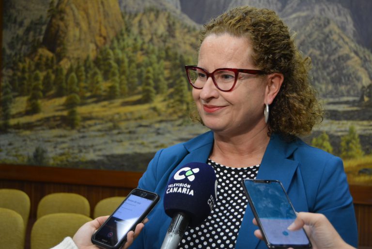 Cabildo y Ayuntamiento de Santa Cruz de La Palma desarrollarán un programa de estimulación temprana para menores