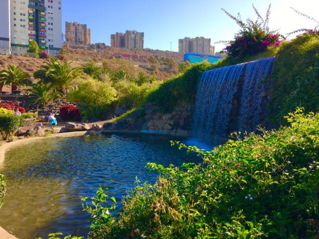 parque Jaime O´shanaha 2